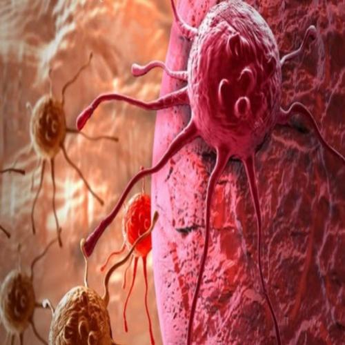 Novo tratamento do câncer pára o crescimento de tumor