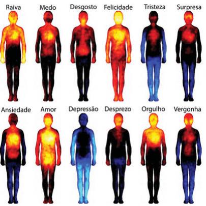 Como seu corpo reage as emoções? Conheça o mapa do corpo humano