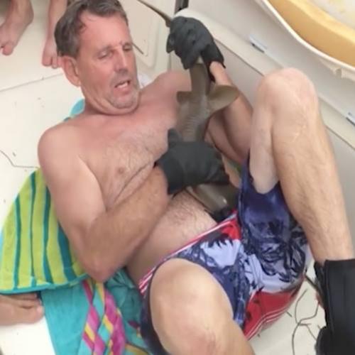 Homem é mordido na barriga por filhote de tubarão em praia na Flórida