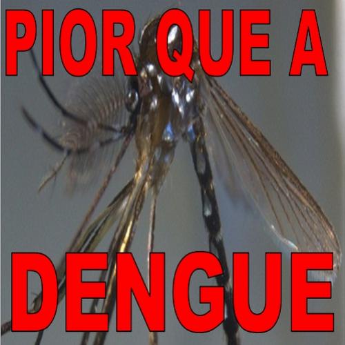Chikungunya - Mais potente que a dengue, assusta o Brasil