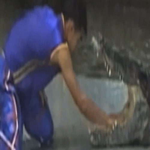 Crocodilo quase arranca o braço de homem na Tailândia