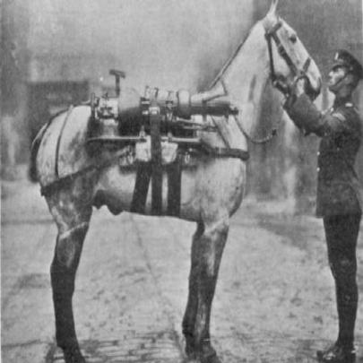 Imagens impressionentes de Cavalos na I Guerra Mundial 