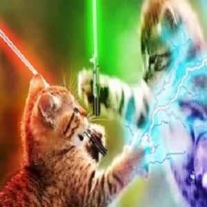 Gatinho Jedi combate cachorros com seu sabre de luz