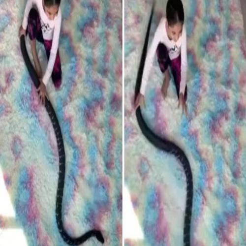 Vídeo de criança brincando com uma cobra gigante vai te deixar chocado