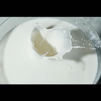 Imagens da fraude: Teste com escâner indica se o leite está adulterado