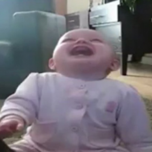 Bebê ri de maneira histérica ao ver cachorro comendo pipoca