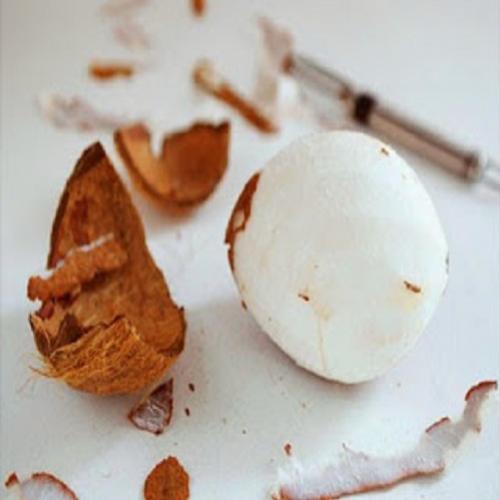 Como abrir o coco sem danificar o miolo?
