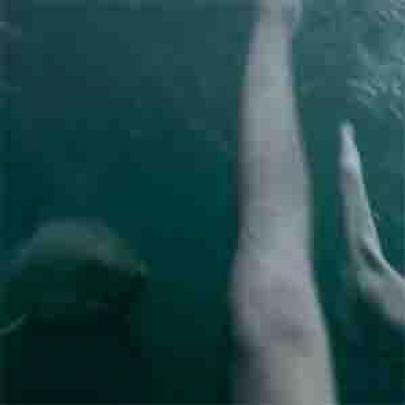 Australiano mergulha e fica cara a cara com Tubarão