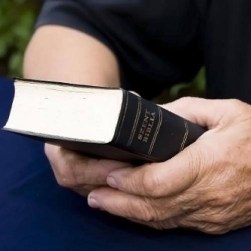 Mais de 10 milhões de bíblias são vendidas no Brasil por ano