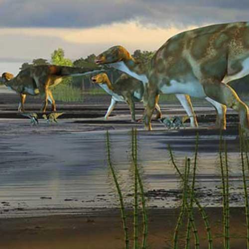 Novas pegadas de dinossauros encontradas no Alasca 