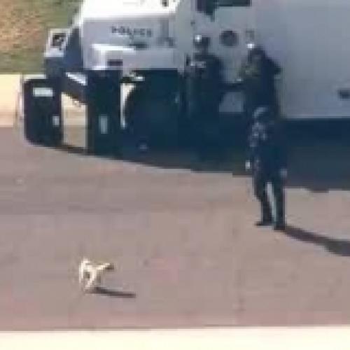 Pug enfrenta equipe da SWAT sozinho.