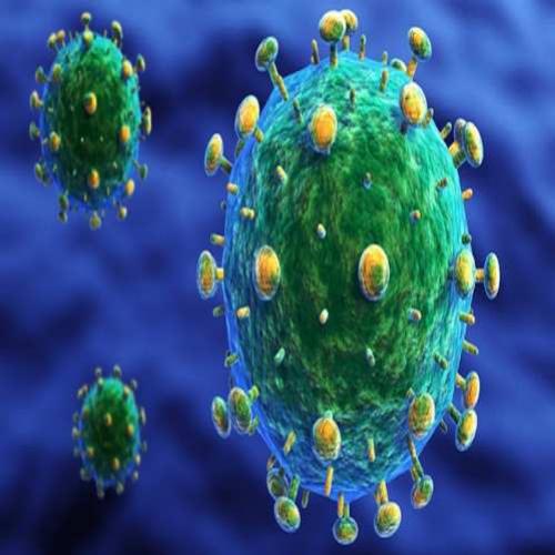 Como o vírus do HIV age no organismo?