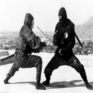 Quem foram os ninjas ?