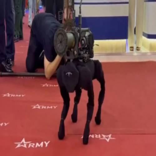 M-81: Rússia tem cão robô equipado para guerra