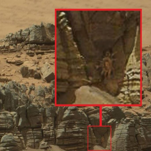Carangueijo é vista rastejando para fora de uma caverna em Marte