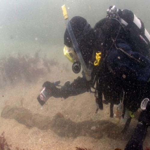 Mergulhadores tentam recuperar o tesouro de um naufrágio.