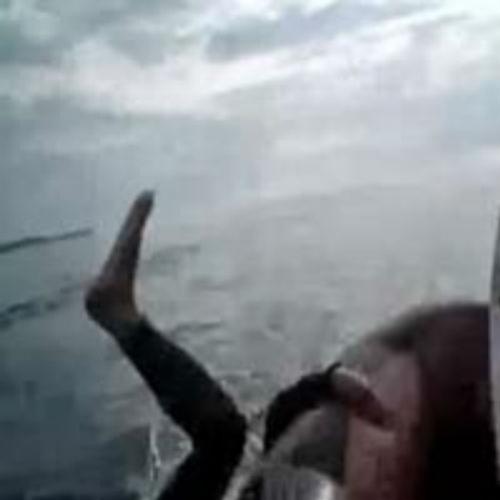 Rapaz empurra amigo em cima de tubarão no mar da Irlanda