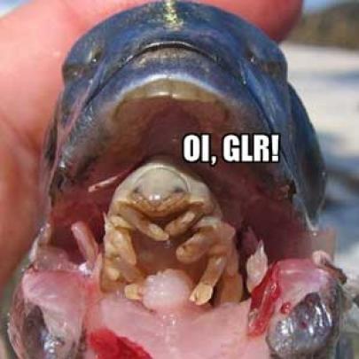 Piolho que corta e toma lugar da lingua em peixes