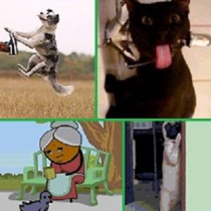  Os 10 melhores gifs animados da internet