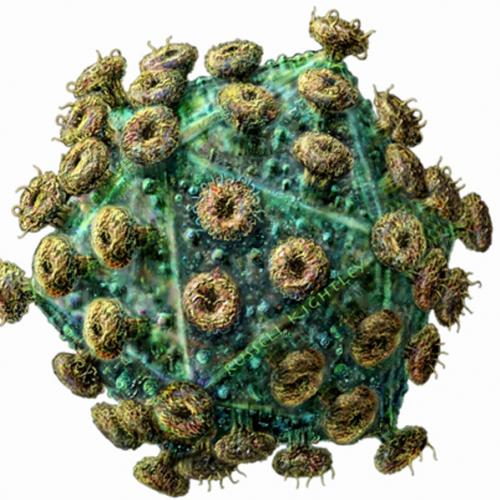 9 Vírus mais mortais da Terra