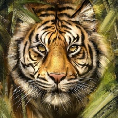 Ideologias, intromissão estatal e a morte do tigre