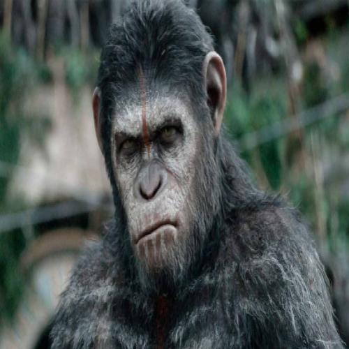 Novo filme de Planeta dos Macacos está em desenvolvimento