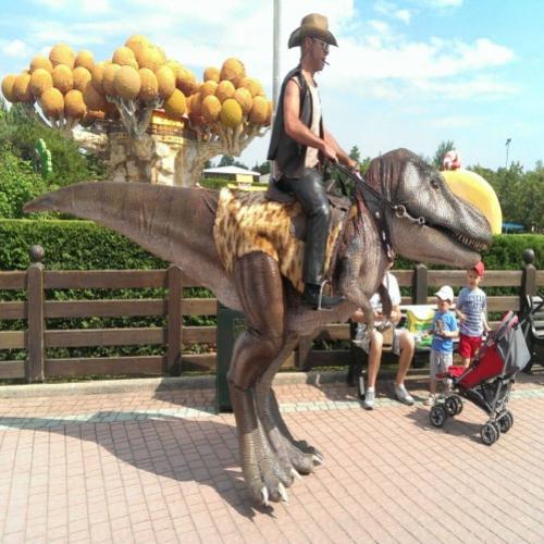 Cavalgando no Dinossauro