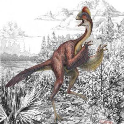 ‘Galinha dos infernos’, o novo dinossauro encontrado nos EUA