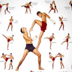 Muay Thai | Os benefícios do muay thai para o corpo