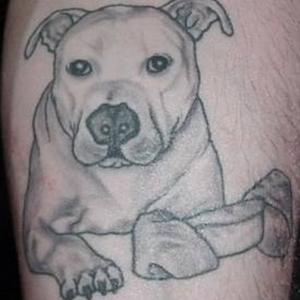 Veja donos que tatuaram imagem de cão de estimação no corpo