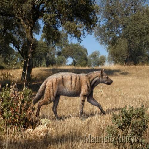 Os antepassados das hienas