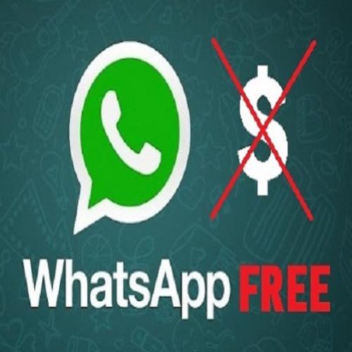 Como usar WhatsApp sem Internet