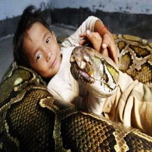 Crianças que não tem medo de Anacondas .