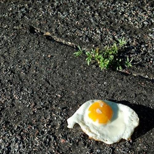 Qual é a temperatura necessária para fritar um ovo na rua?