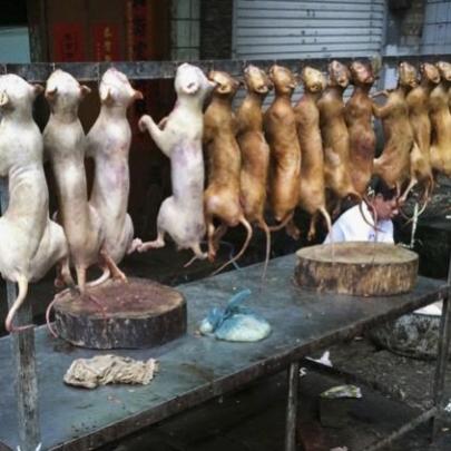 Cães assados são vendidos em cidade chinesa