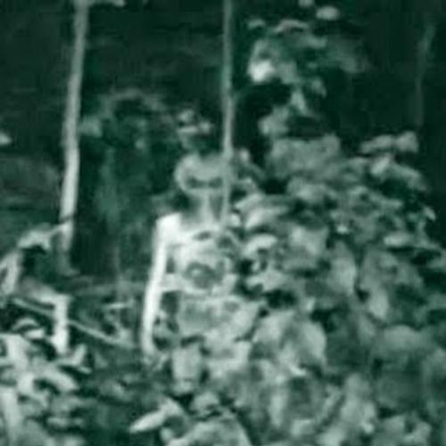 Vídeo com imagens de possível extraterrestre vaza na internet 