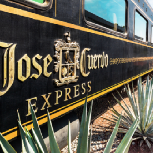 Dicas de viagem: Todos a bordo do Jose Cuervo Express Train