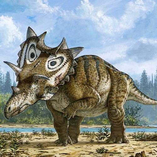 Físico aposentado tropeça em fóssil e descobre nova espécie de dinossa