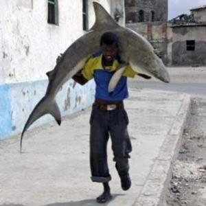 Pescadores da Mogadíscio