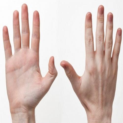  4 curiosidades sobre as mãos que você não sabia 