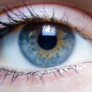 Descoberta nova camada no olho humano