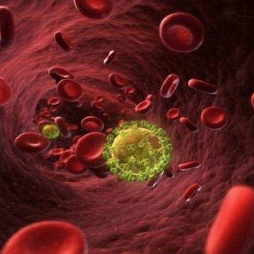 Cientistas criam proteína capaz de bloquear vírus do HIV