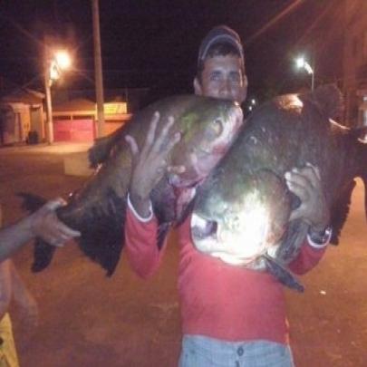 Pescadores fisgam peixes de 30 kg no Rio das Contas em Tanhaçu