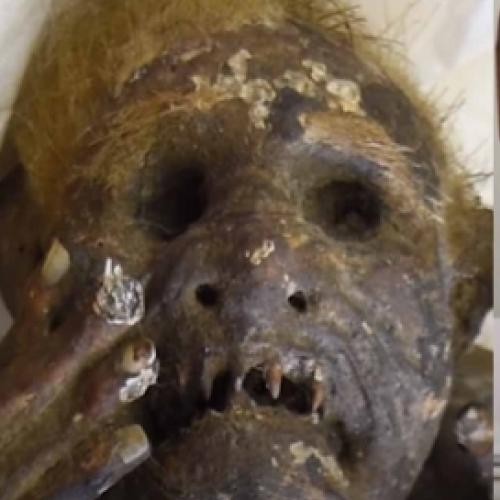 O mistério por trás da ‘múmia sereia’ do Japão