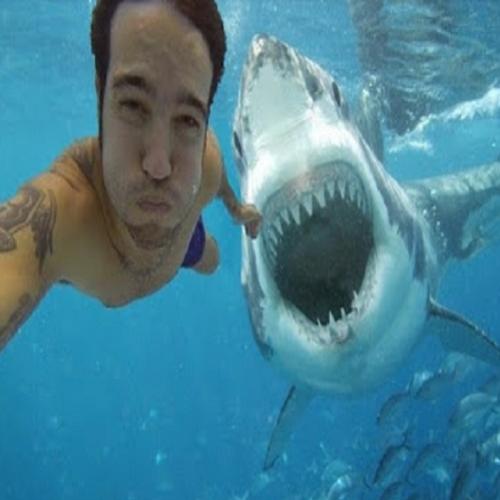 Ataque de tubarão durante selfie causa muita comoção na web