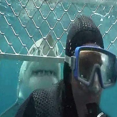 A aterrorizante experiência de mergulhar ao lado de Tubarões Brancos!