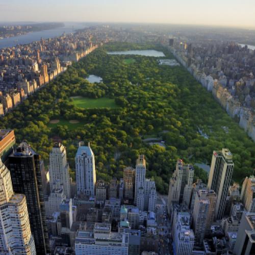 Faça uma caminhada virtual pelo Central Park