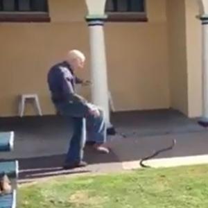 Idoso enfrentando cobra venenosa na Austrália