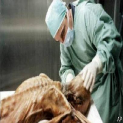Pesquisa encontra descendentes de Ötzi, homem do gelo