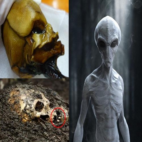 5 Misteriosos restos mortais encontrados - ossos de vampiros, bruxas e